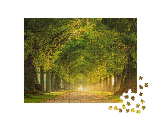 Puzzel 1000 stukjes „Een park bij zonsopgang met een lindenlaan“