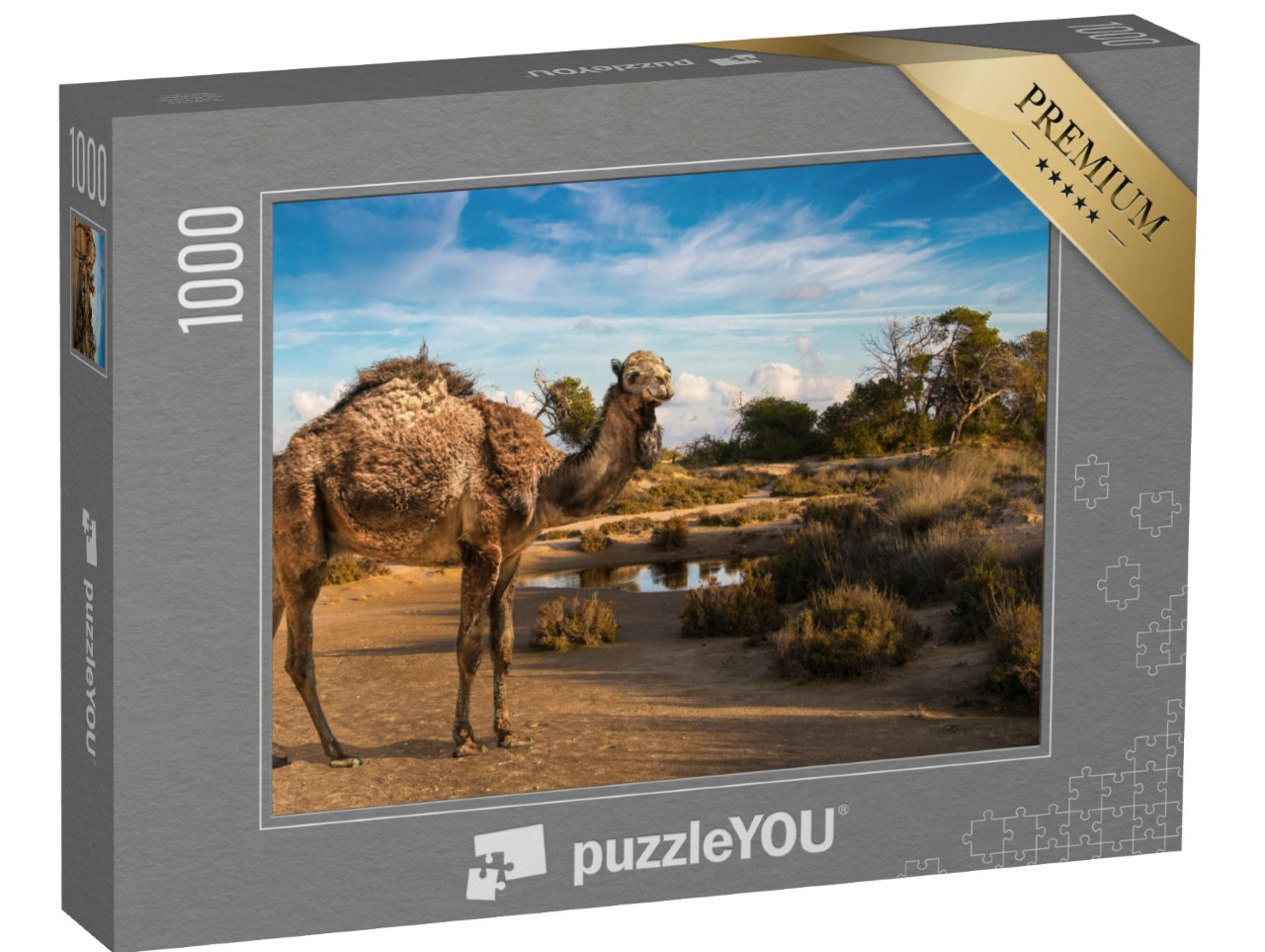 Puzzel 1000 stukjes „Een ruige dromedaris bij een waterpoel“