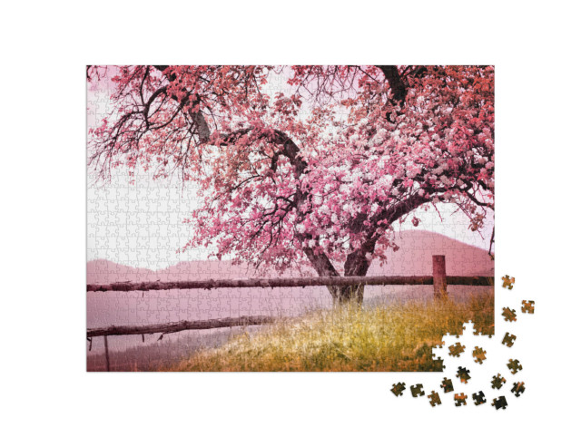 Puzzel 1000 stukjes „Prachtig bloeiende, eeuwenoude boom in de bergen“