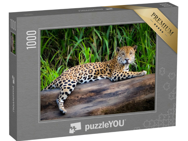 Puzzel 1000 stukjes „Een jaguar in het Peruaanse Amazonegebied“
