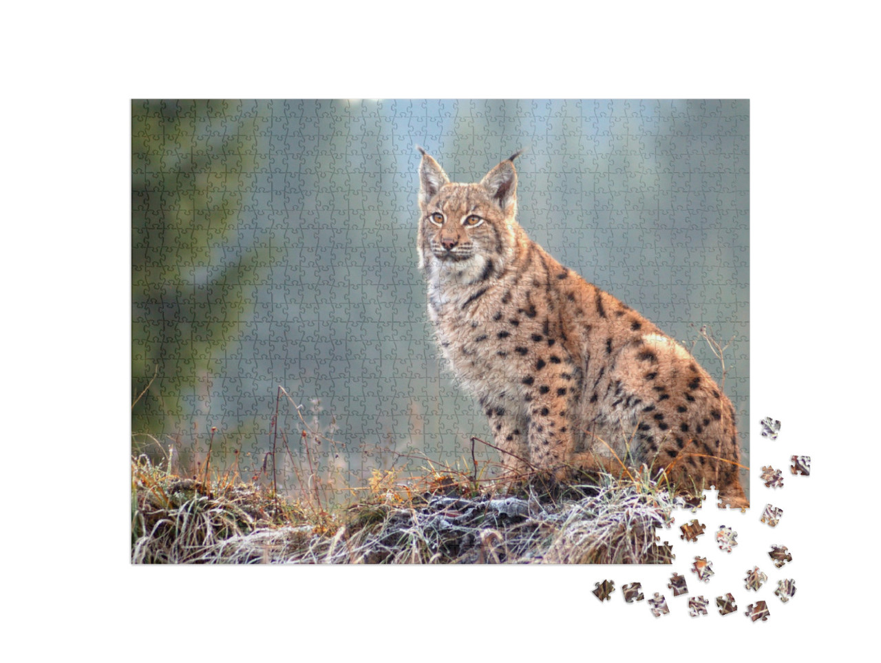 Puzzel 1000 stukjes „Euraziatische lynx in de Slowaakse Karpaten“