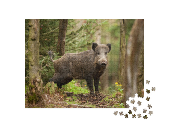 Puzzel 1000 stukjes „Wilde zwijnen in Tsjechië“