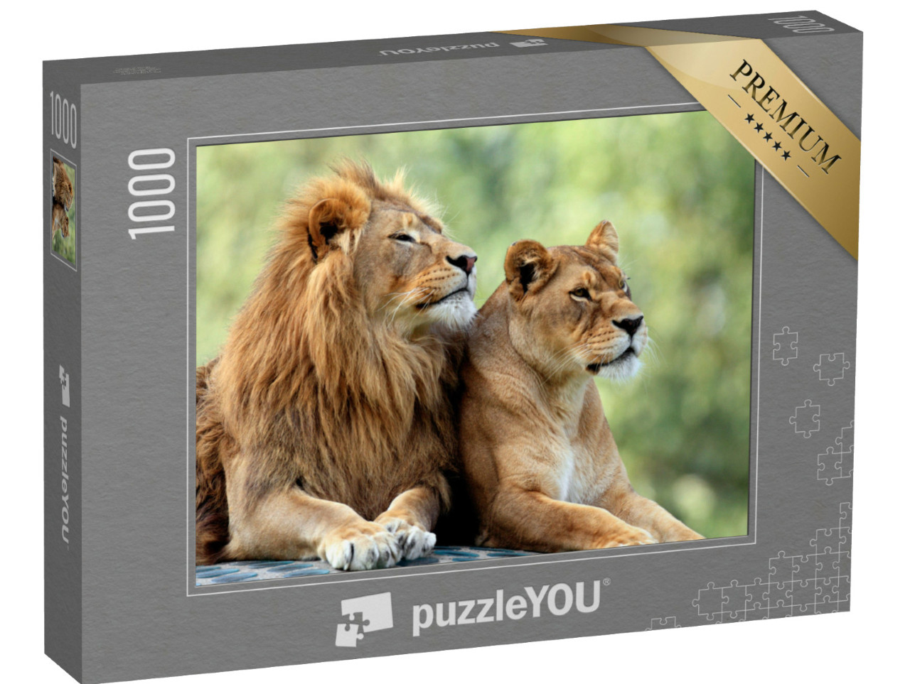 Puzzel 1000 stukjes „Mannelijke en vrouwelijke leeuwen“