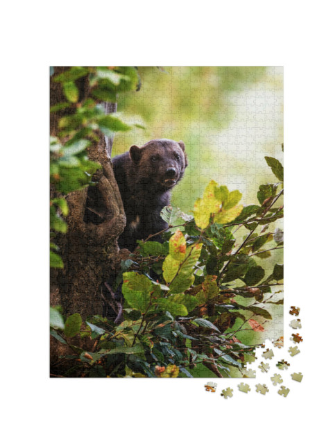 Puzzel 1000 stukjes „Een veelvraat klimt in een boom“