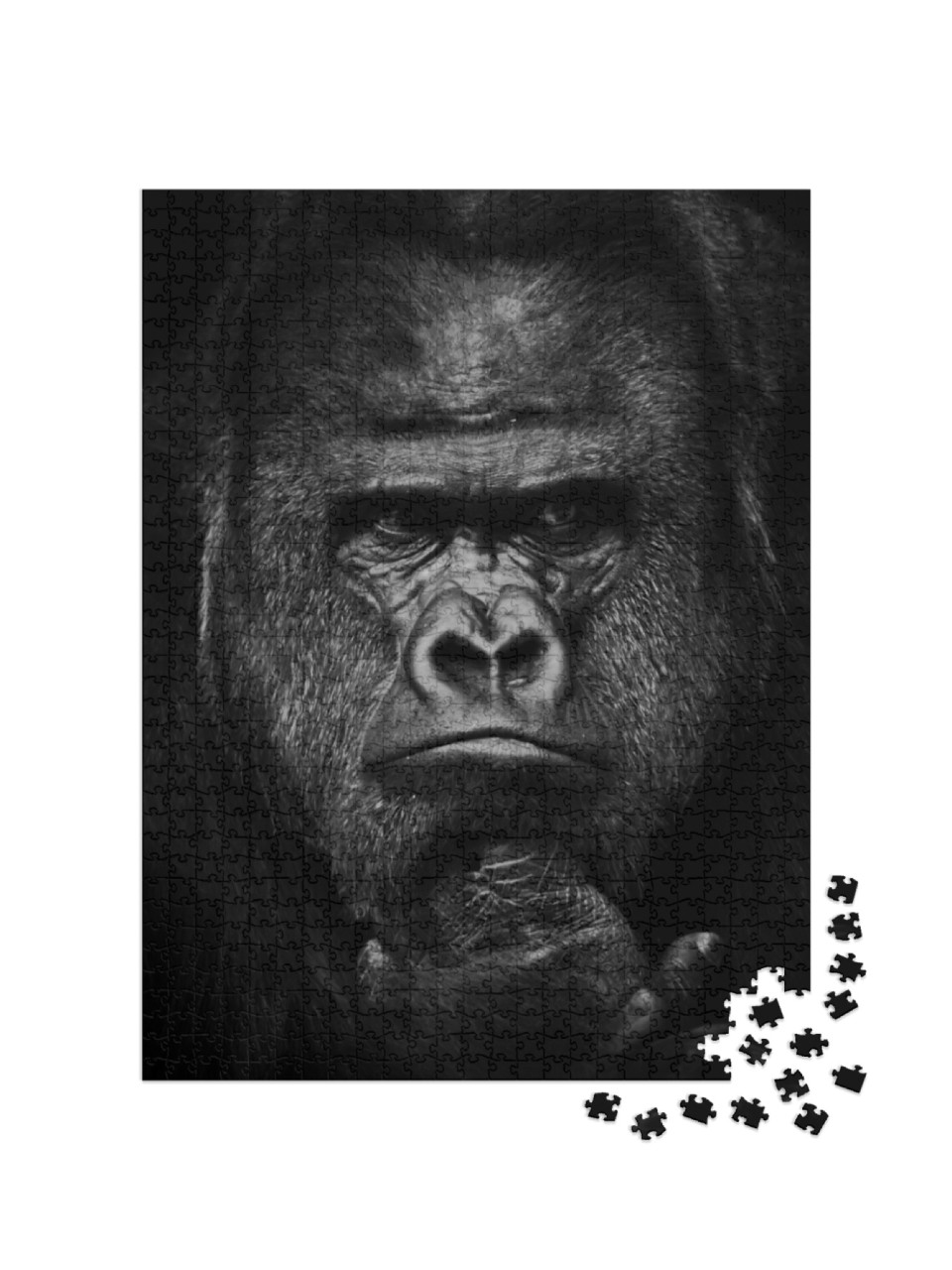 Puzzel 1000 stukjes „Zware blik van de sterke dominante mannelijke gorilla“