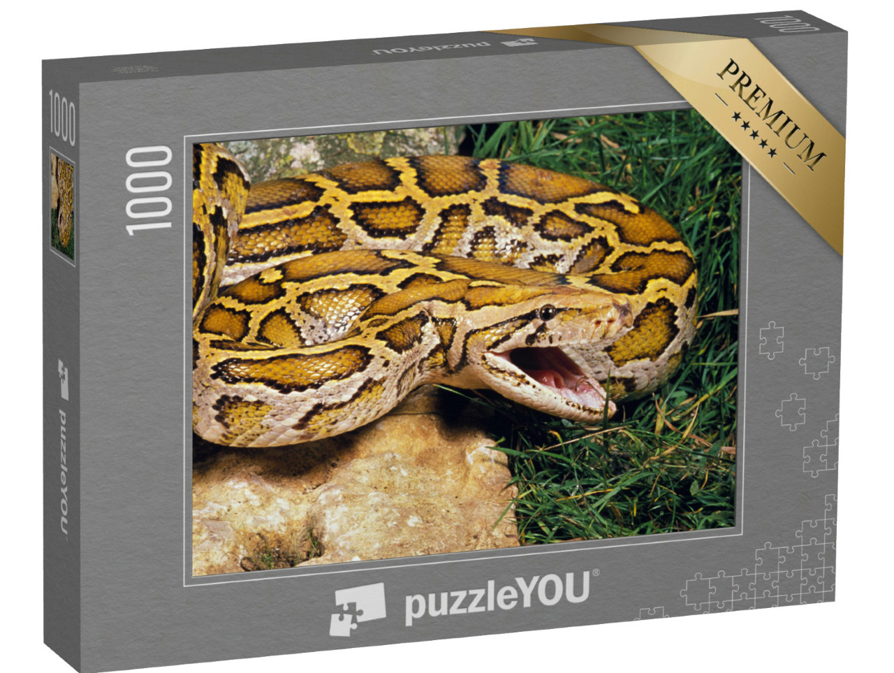 Puzzel 1000 stukjes „Indische python“