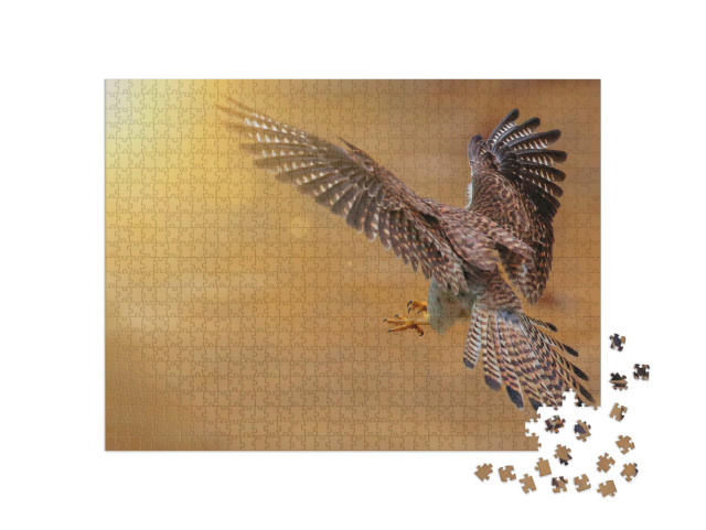 Puzzel 1000 stukjes „Achteraanzicht van een jagende torenvalk“