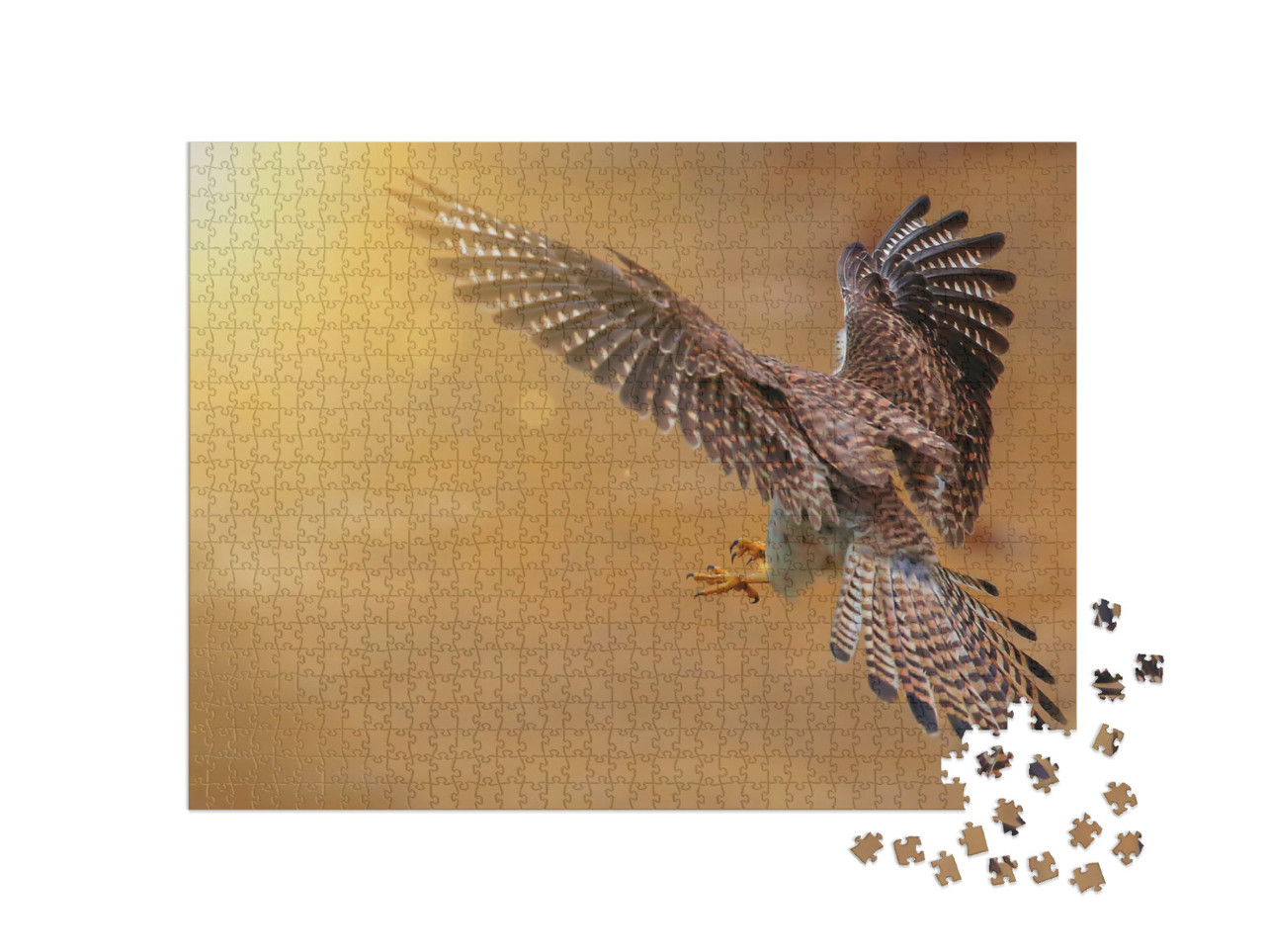 Puzzel 1000 stukjes „Achteraanzicht van een jagende torenvalk“