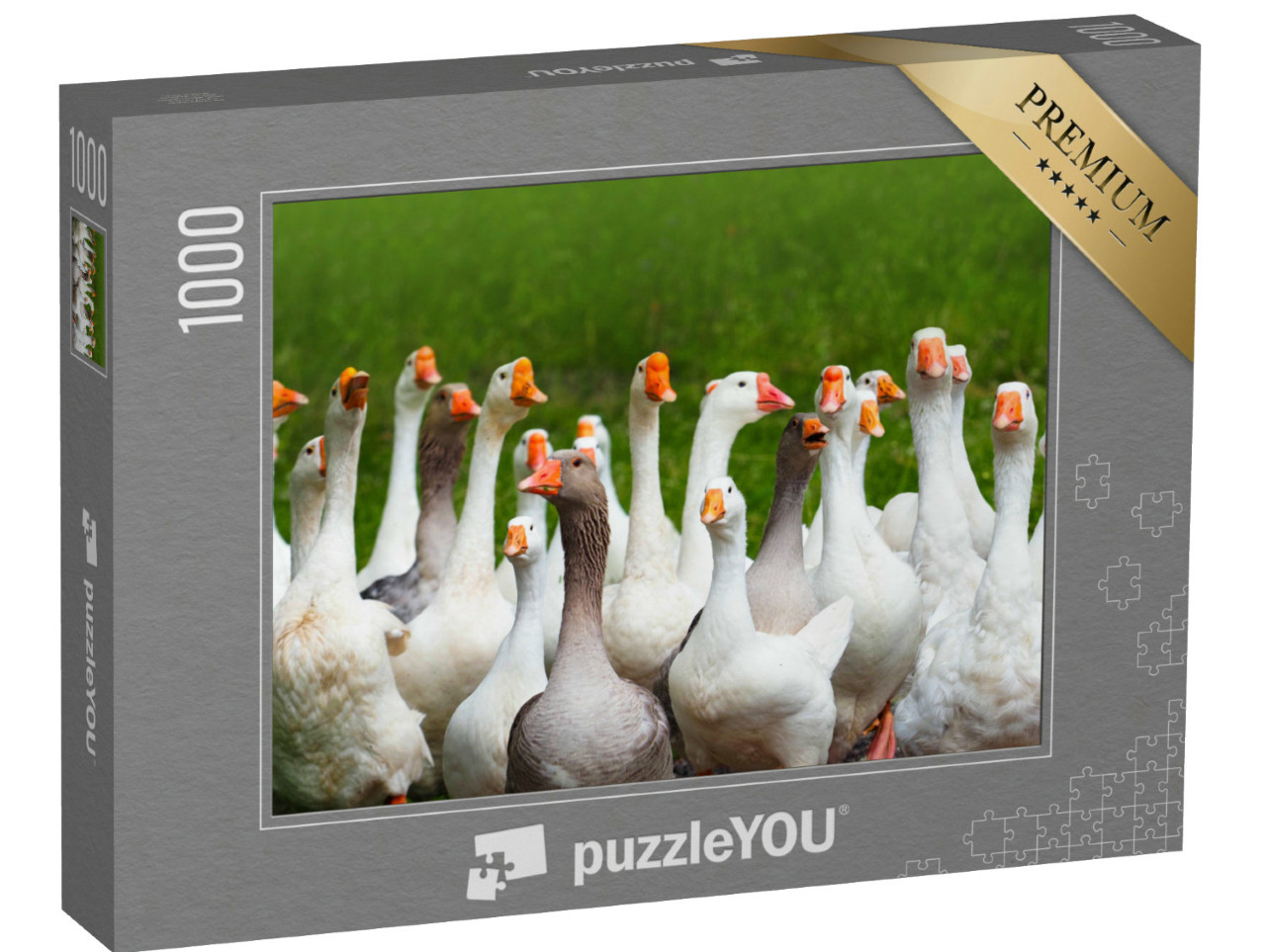 Puzzel 1000 stukjes „Kudde kakelende ganzen“