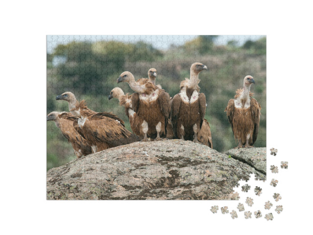 Puzzel 1000 stukjes „Vale gier“