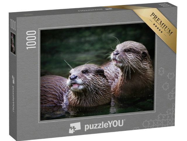 Puzzel 1000 stukjes „Schattig paar otters in het water“