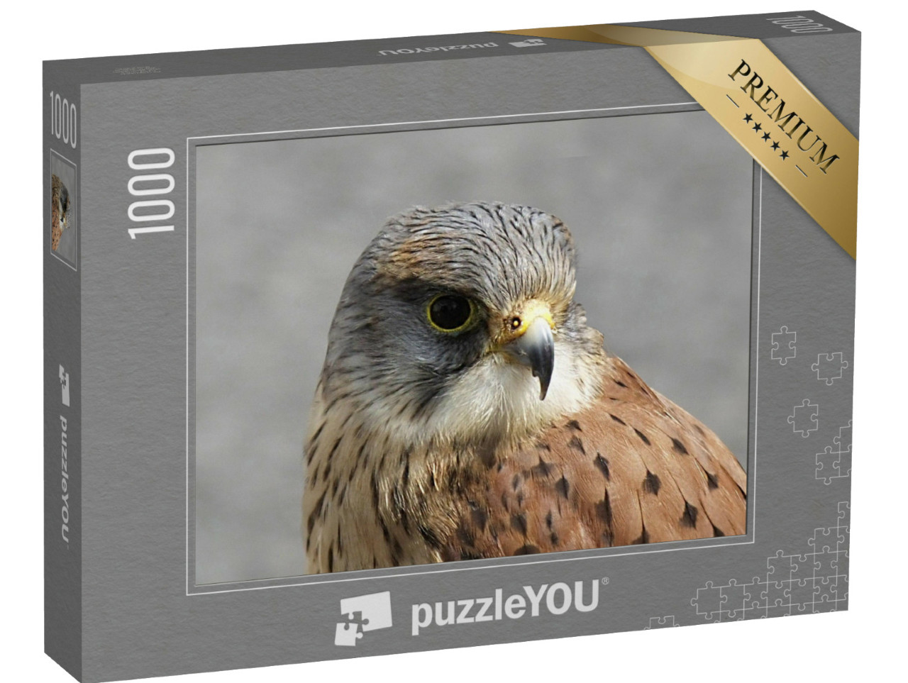 Puzzel 1000 stukjes „Torenvalk in Co Antrim wildreservaat, Noord-Ierland“