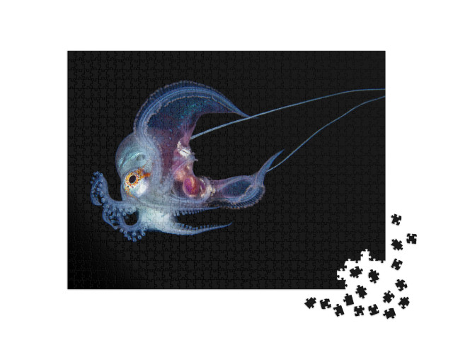 Puzzel 1000 stukjes „Onderwaterfoto van een blauwe octopus“