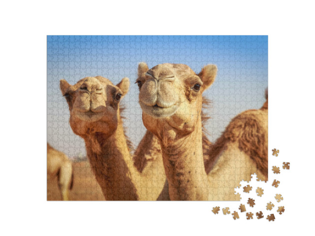 Puzzel 1000 stukjes „Kamelen in het wild in Arabië“