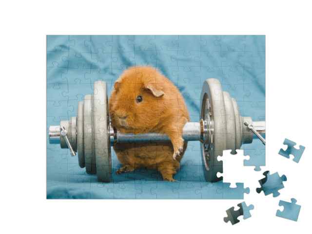 Puzzel 100 stukjes „Kleine cavia op een gigantische halter“