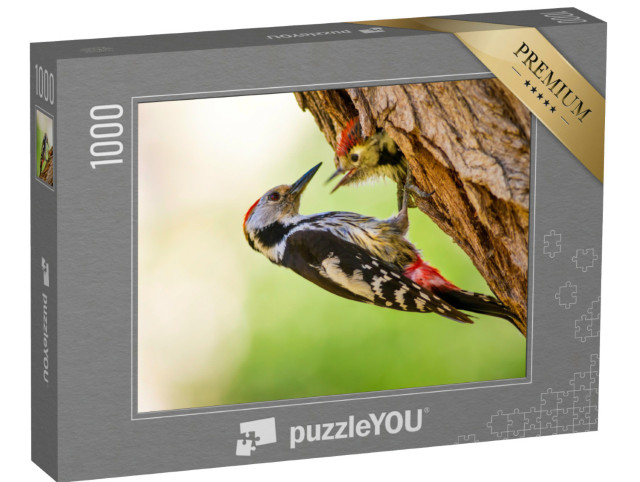 Puzzel 1000 stukjes „Een kleine familie spechten“
