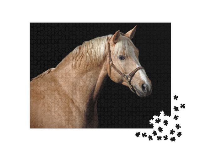 Puzzel 1000 stukjes „Palomino paard“