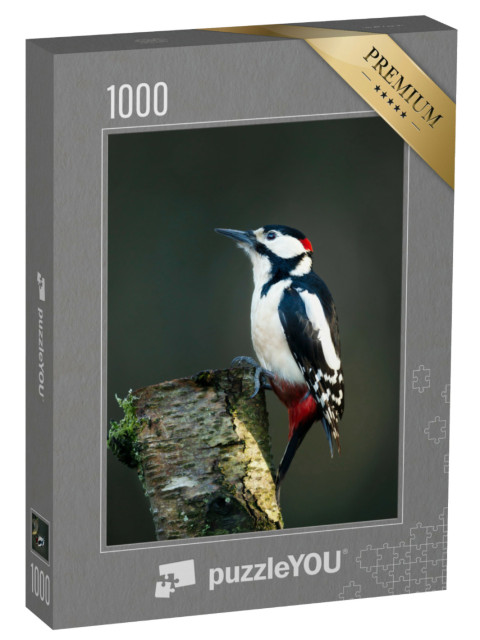 Puzzel 1000 stukjes „Grote bonte specht op een bemoste berkenboom“