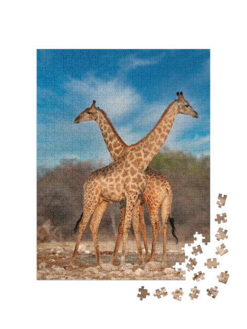 Puzzel 500 stukjes „Twee giraffen“