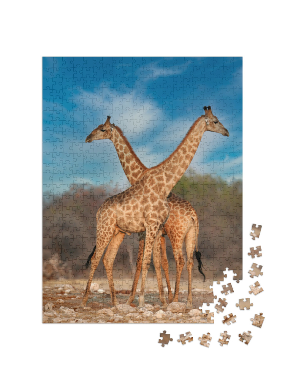 Puzzel 500 stukjes „Twee giraffen“