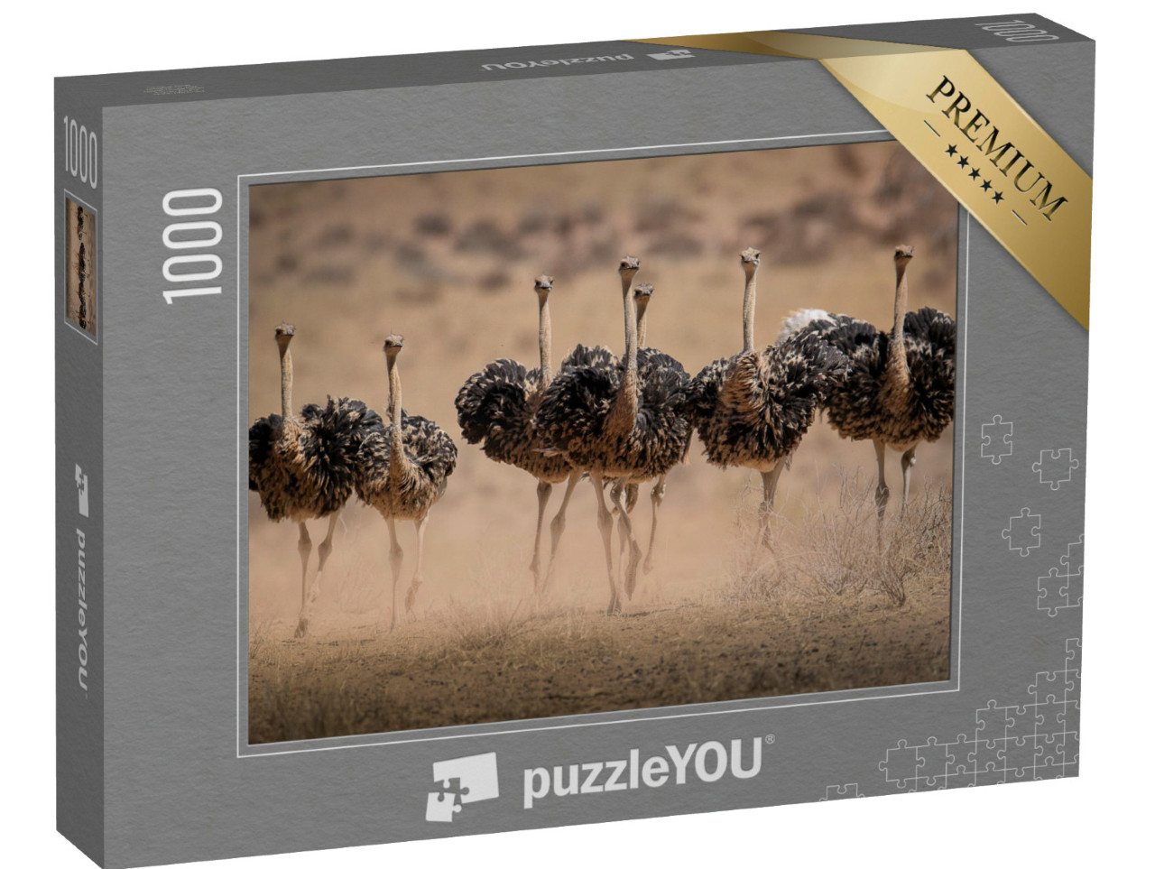 Puzzel 1000 stukjes „Struisvogelvrouwtjes doen stof opwaaien“