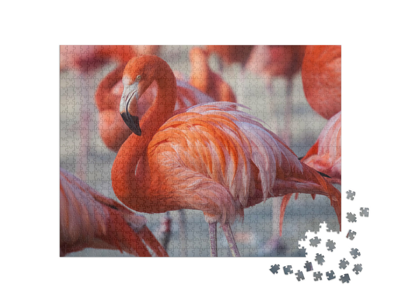 Puzzel 1000 stukjes „Roze flamingo's“