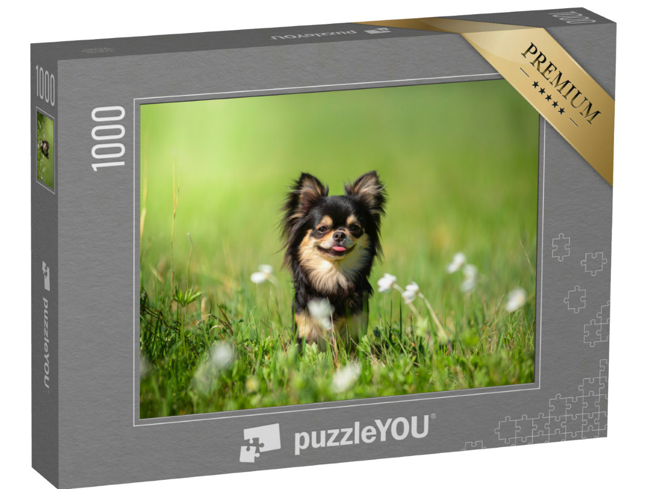 Puzzel 1000 stukjes „Chihuahua hond op een zonnige open plek“
