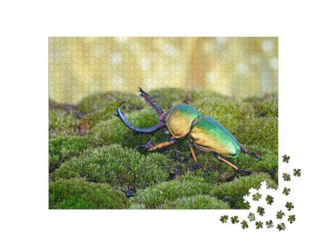 Puzzel 1000 stukjes „Zaagtandkever of hertskever, een van de mooiste kevers ter wereld“
