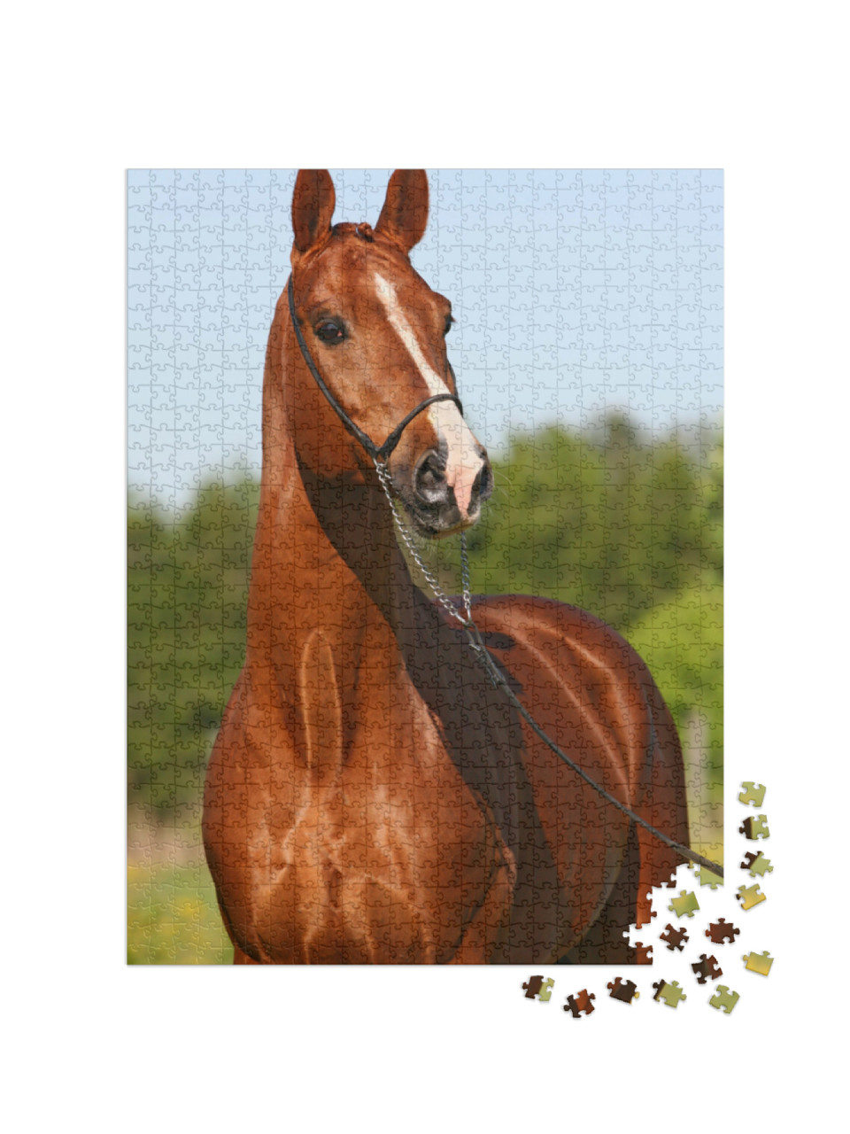 Puzzel 1000 stukjes „Kastanjekleurige Trakehner hengst“