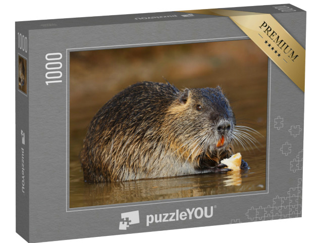 Puzzel 1000 stukjes „Een Coypu knaagdier eet“