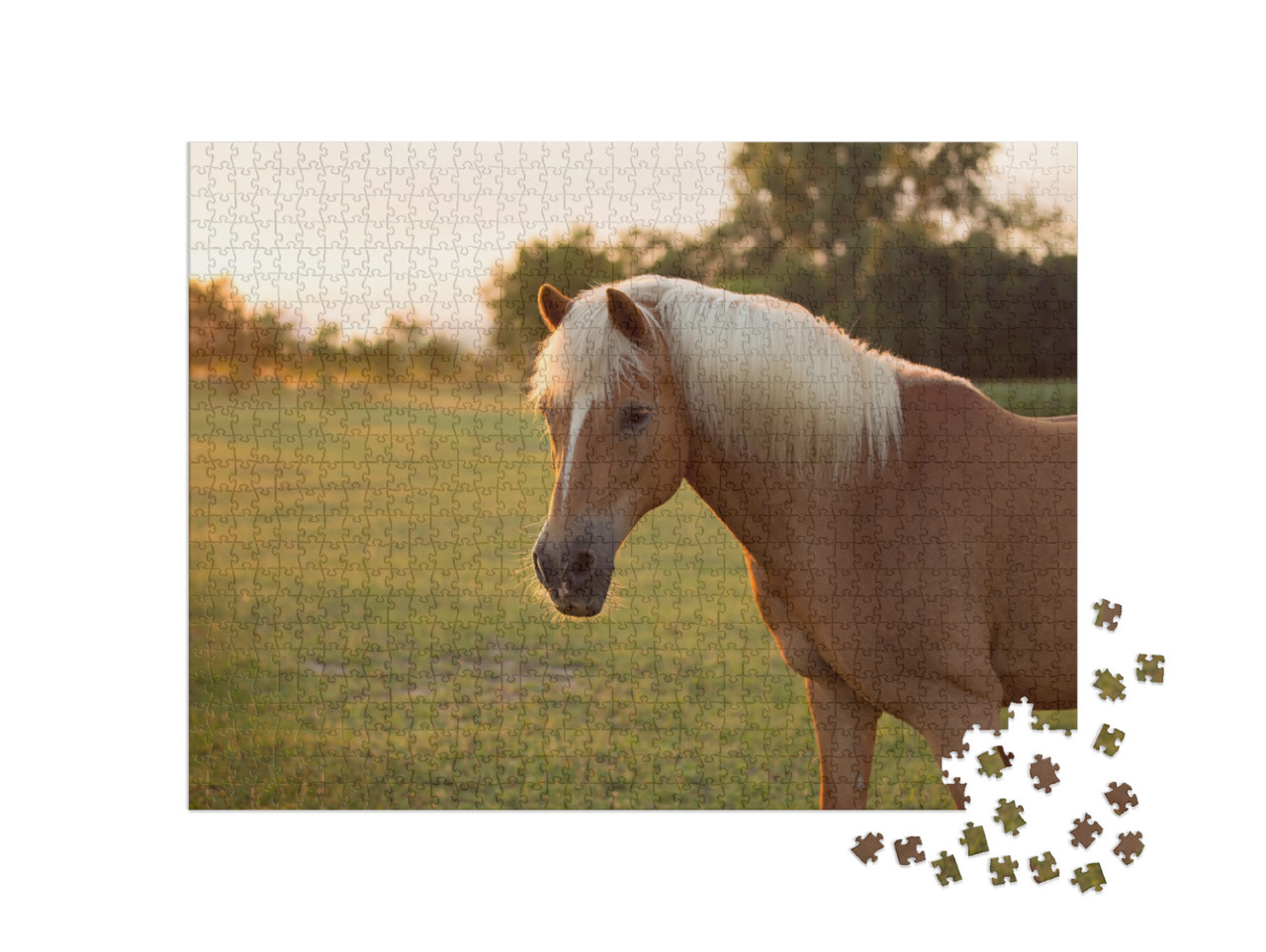 Puzzel 1000 stukjes „Palomino Haflinger paard in een weiland“