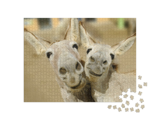 Puzzel 1000 stukjes „Twee crèmekleurige ezels“