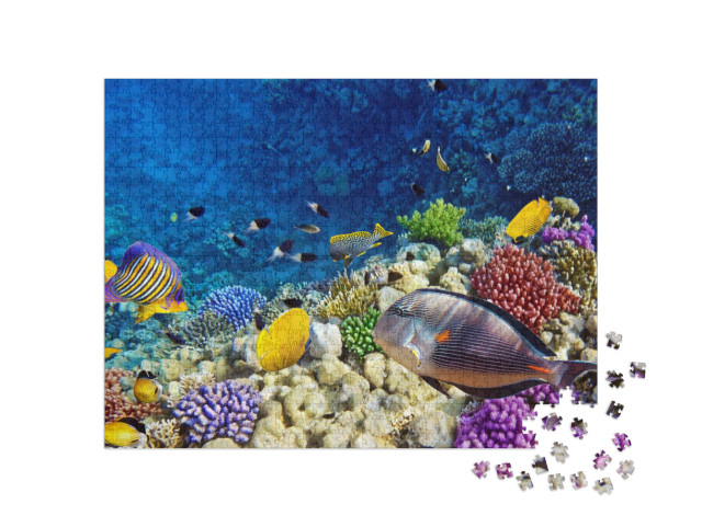 Puzzel 1000 stukjes „Kleurrijke koralen en vissen in de Rode Zee bij Egypte“