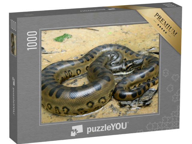 Puzzel 1000 stukjes „Groene anaconda“