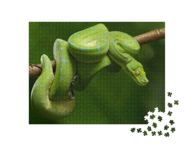 Puzzel 1000 stukjes „Boompython in felgroen“