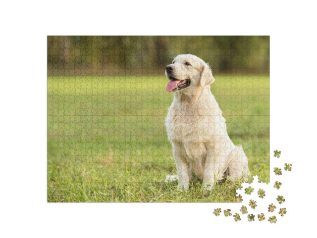 Puzzel 1000 stukjes „Golden Retriever in het park“