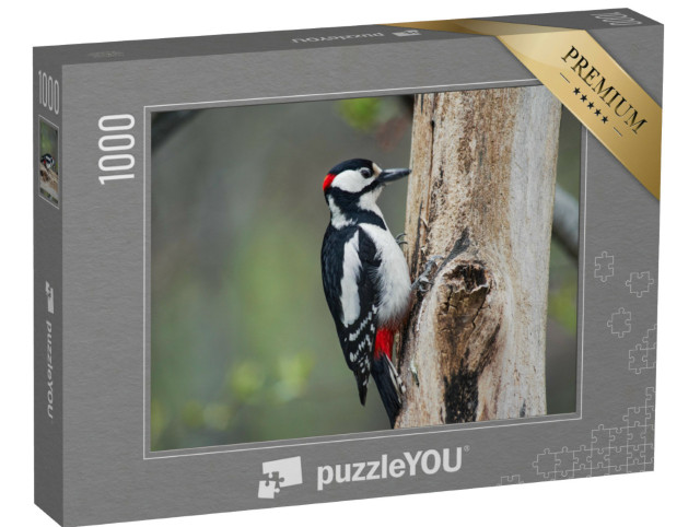 Puzzel 1000 stukjes „Specht klopt op een boom“