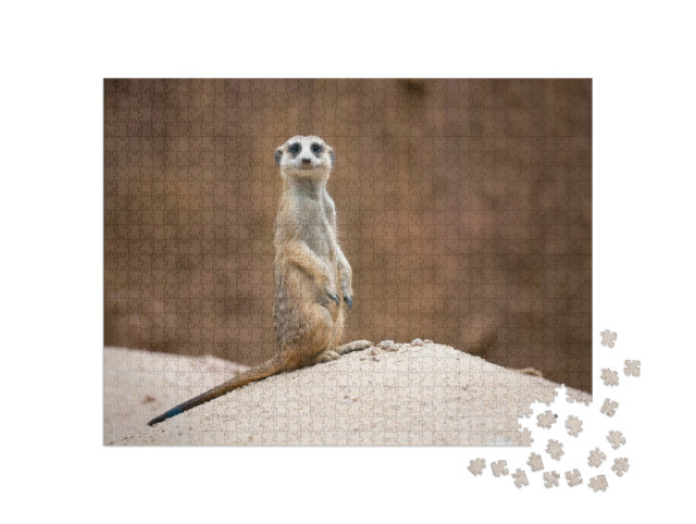 Puzzel 1000 stukjes „Schattig stokstaartje, Suricata suricatta, staand op een rots“