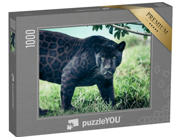 Puzzel 1000 stukjes „Zwarte Panter“