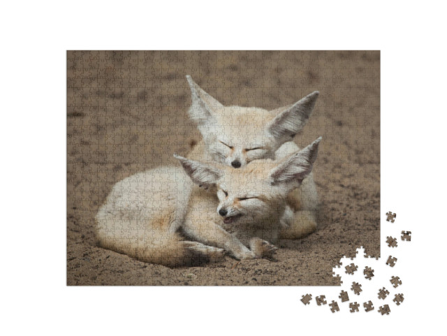 Puzzel 1000 stukjes „Fennec vossen nemen een korte pauze“