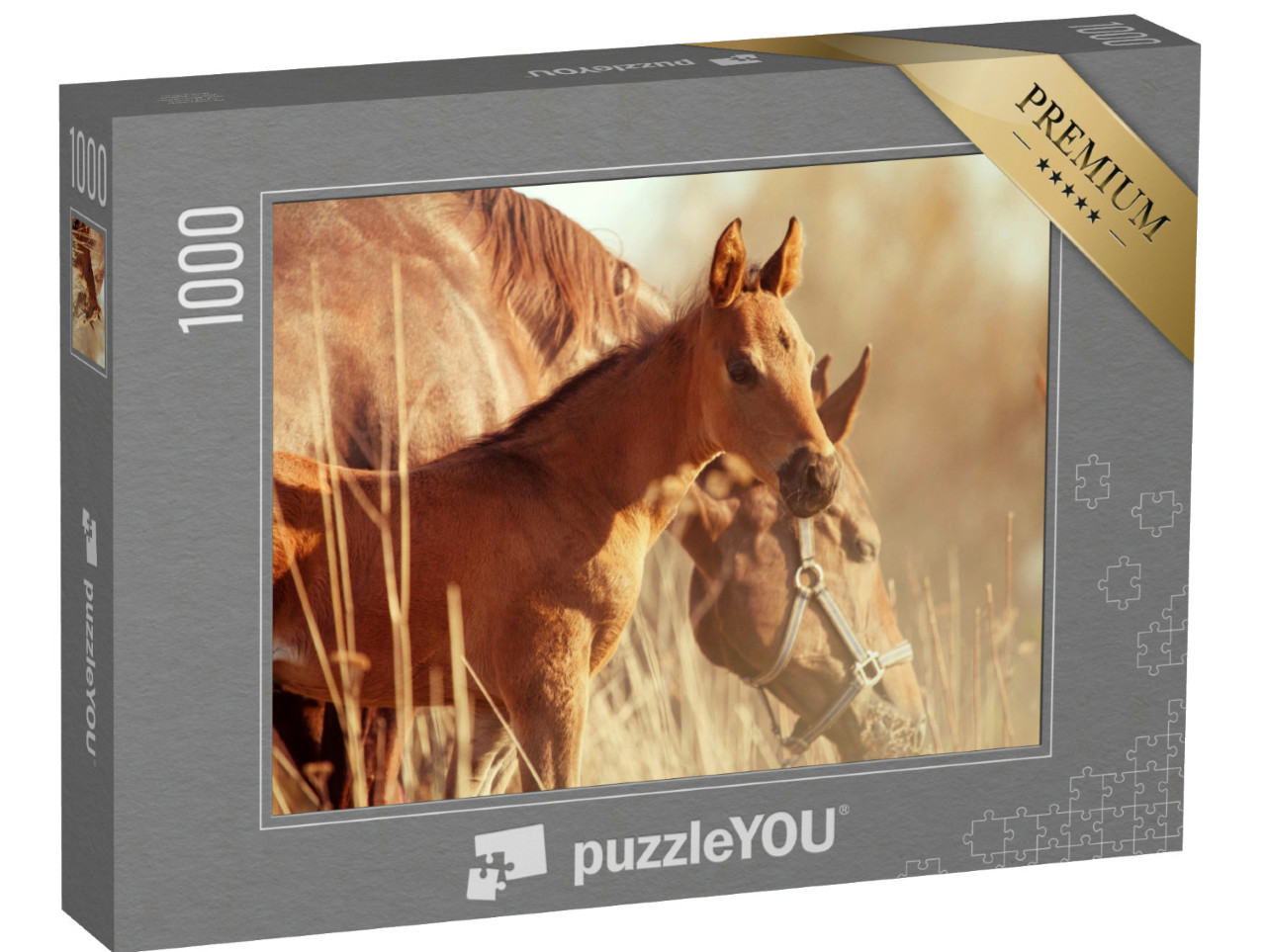 Puzzel 1000 stukjes „Merrie en veulen in de zonsondergang“