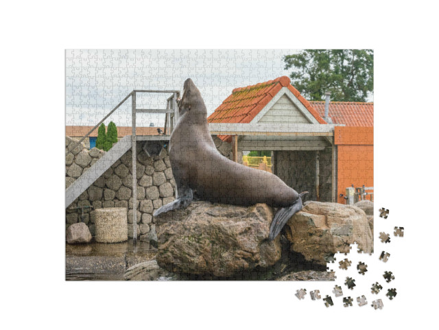 Puzzel 1000 stukjes „Nederland, Harderwijk, Dolfinarium, Zeehonden op een rots, Europa“