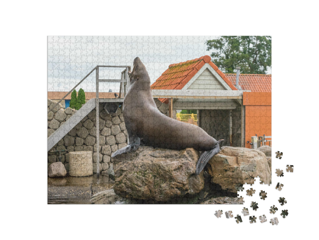 Puzzel 1000 stukjes „Nederland, Harderwijk, Dolfinarium, Zeehonden op een rots, Europa“