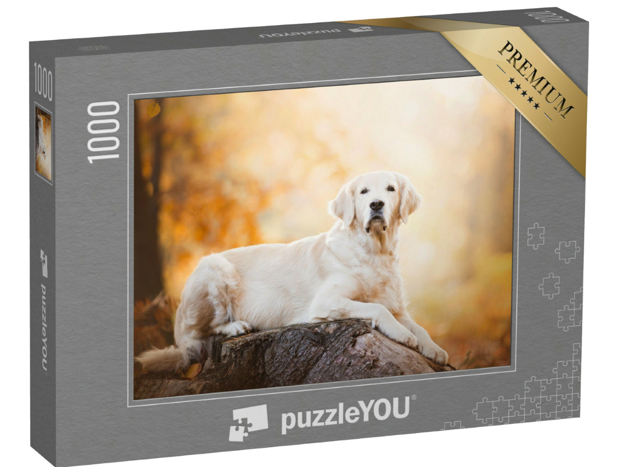 Puzzel 1000 stukjes „Attente Golden Retriever“