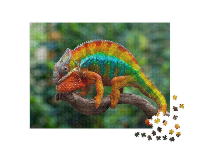 Puzzel 1000 stukjes „Mooie kameleonpanter“