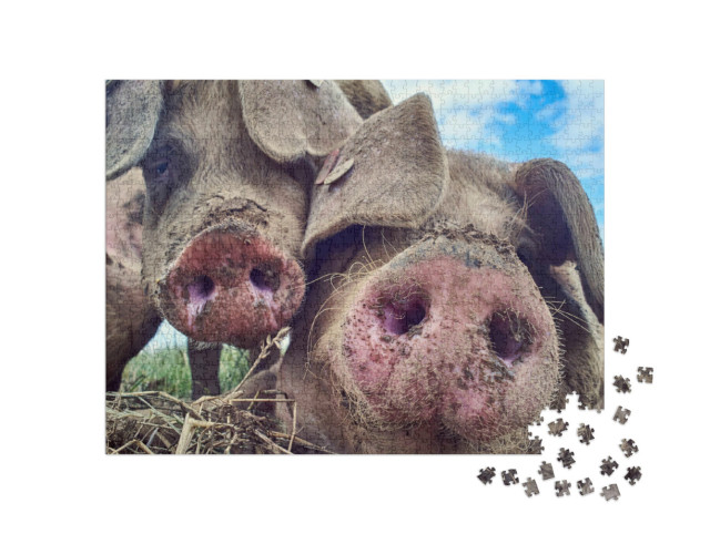 Puzzel 1000 stukjes „Gelukkige varkens“