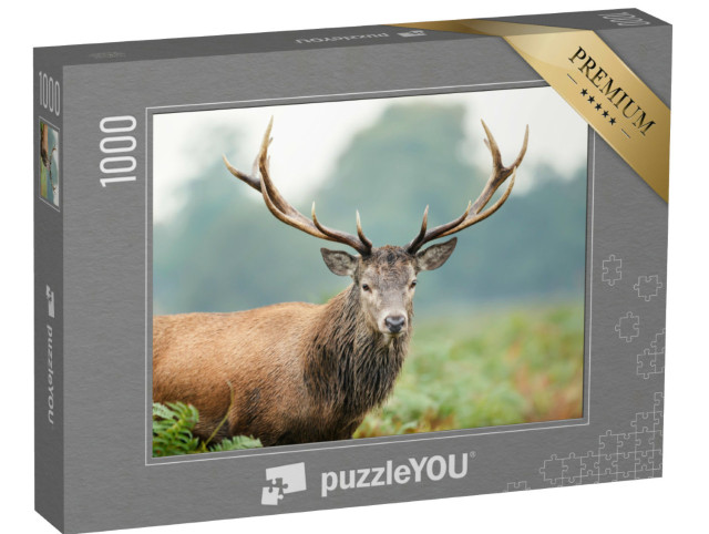 Puzzel 1000 stukjes „Close-up van een edelhert“