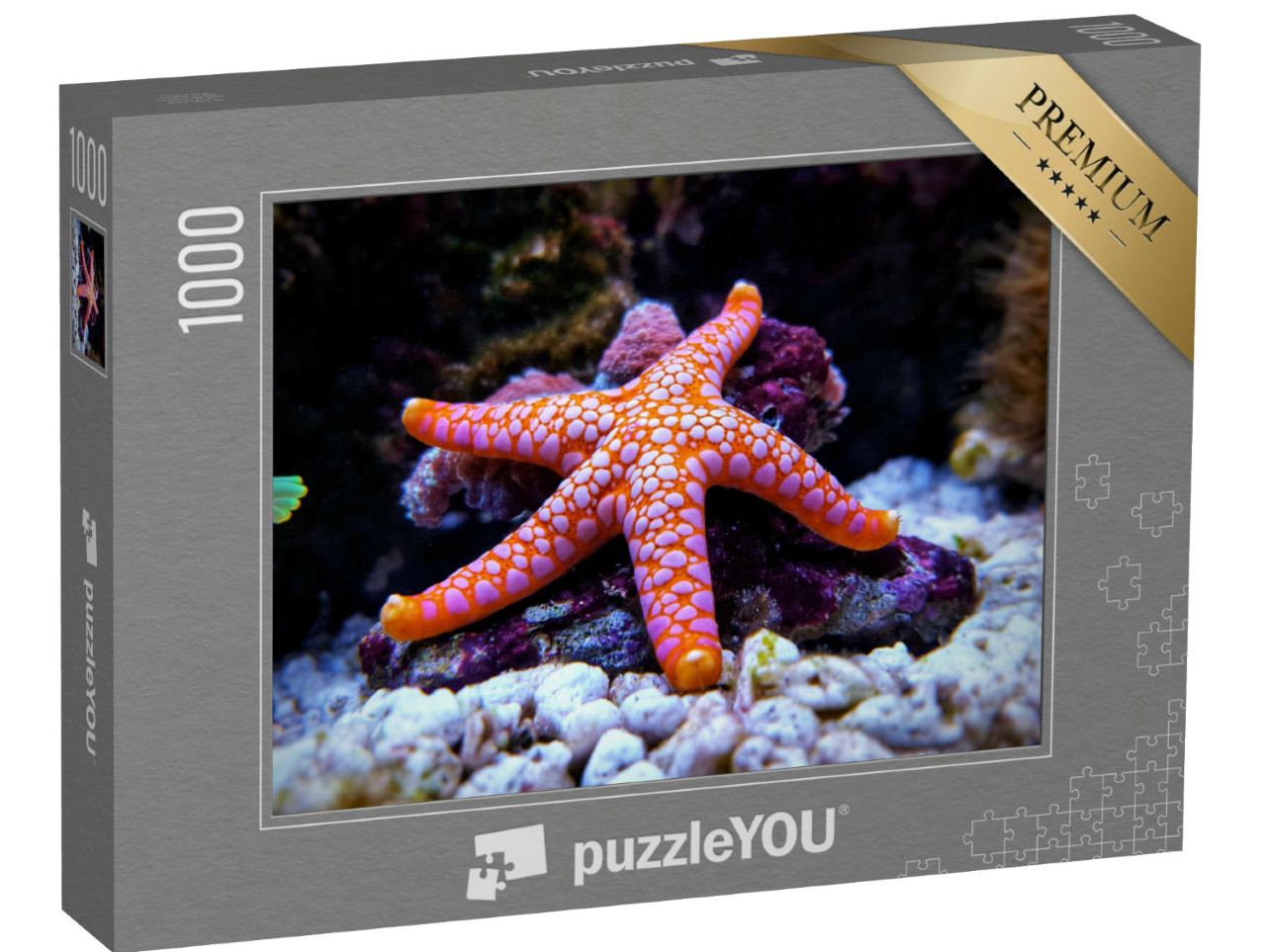 Puzzel 1000 stukjes „De witgevlekte, oranje Fromia-zeester“
