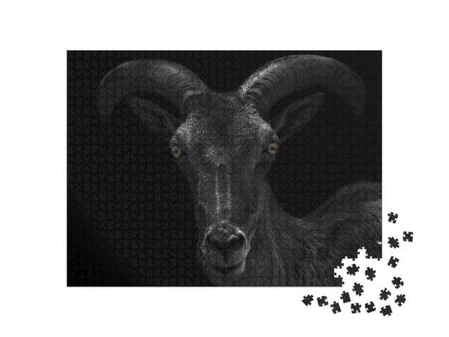 Puzzel 1000 stukjes „Close-up van een donkere steenbok“