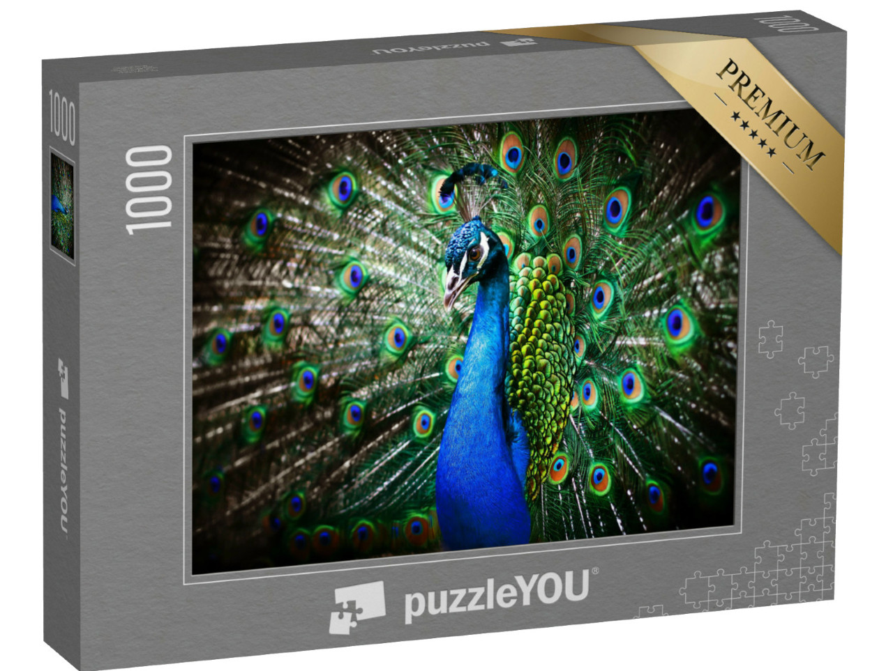 Puzzel 1000 stukjes „Portret van een mooie pauw met open wiel“